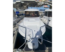 Dipol 580 Timonera + Honda BF 80