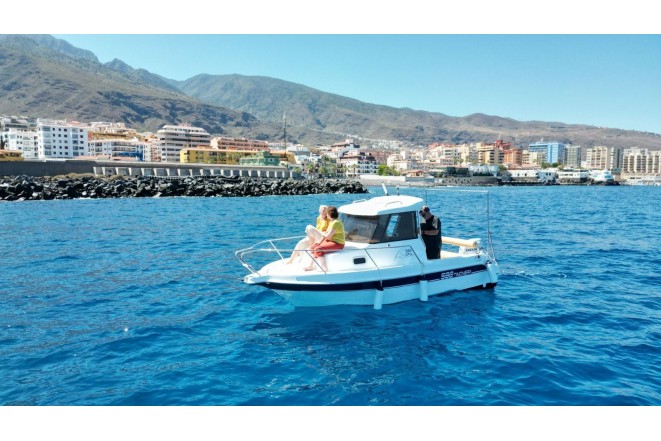 Dipol 580 Timonera + Honda BF 80
