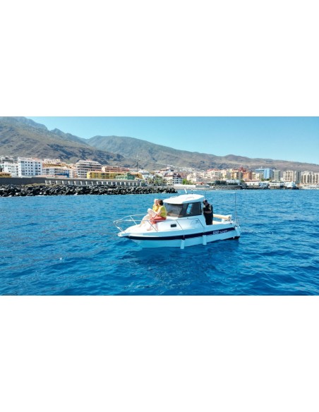 Dipol 580 Timonera + Honda BF 80