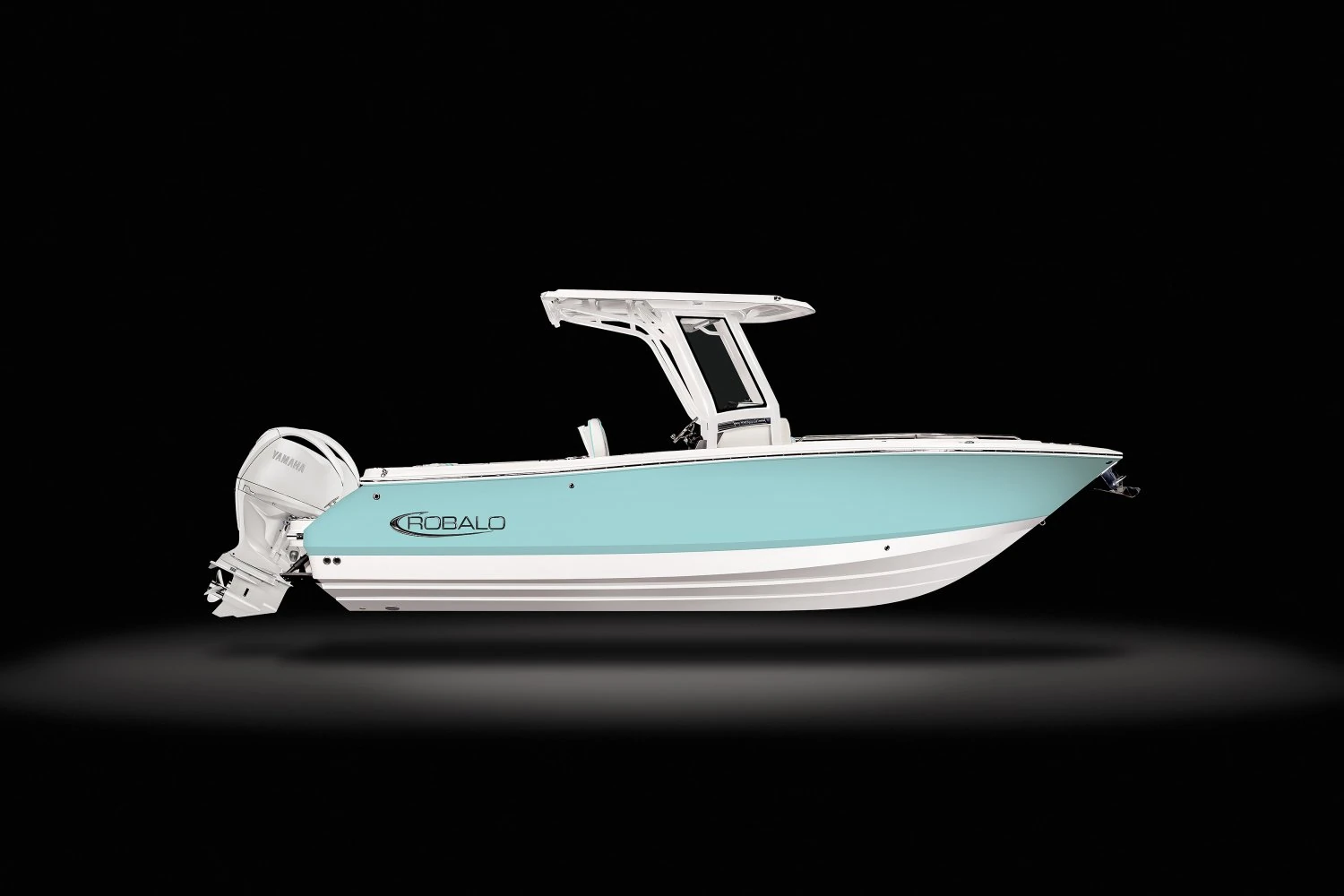 Robalo R250