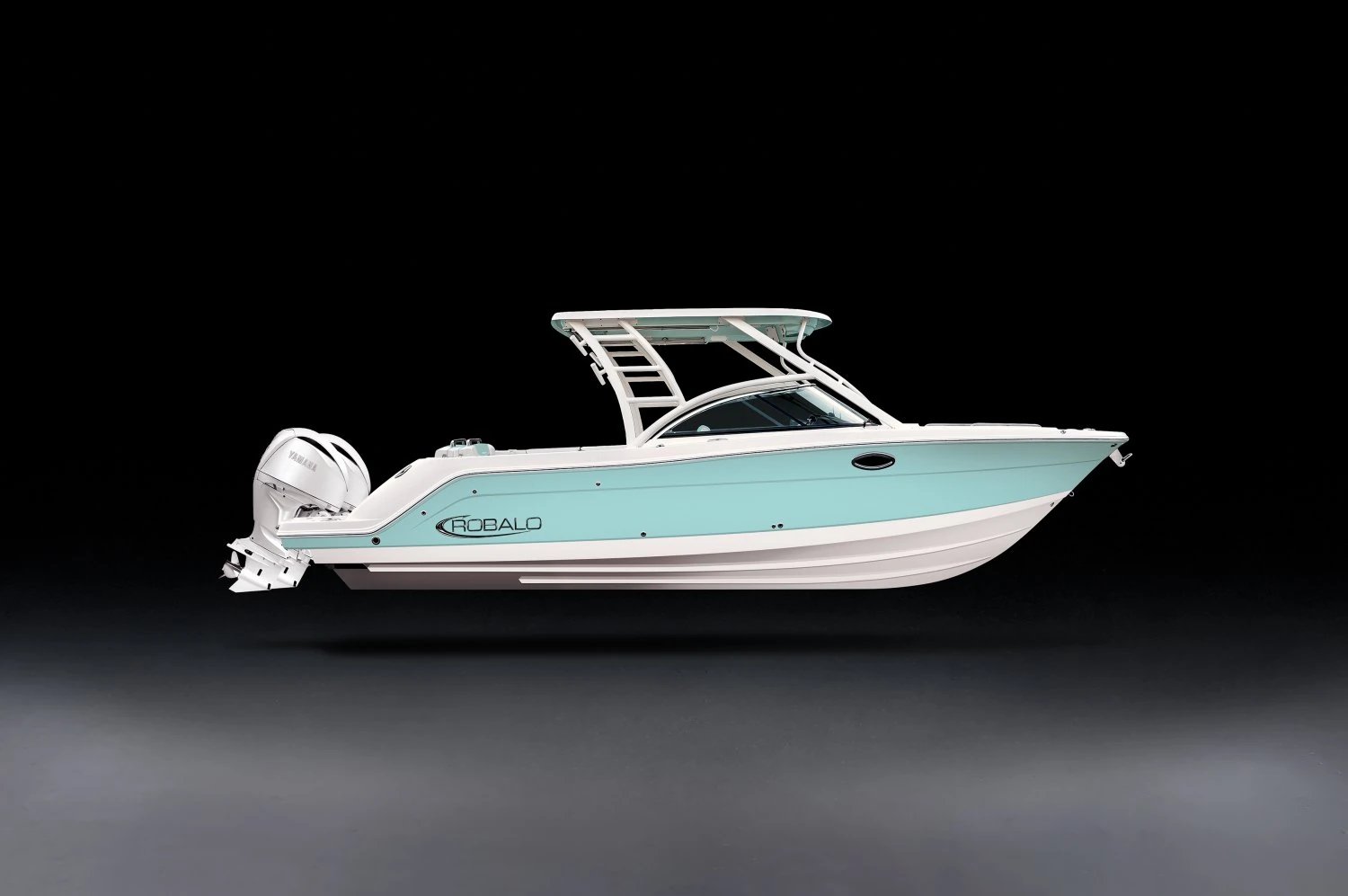 Robalo R317