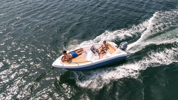 Ranieri SHARK17