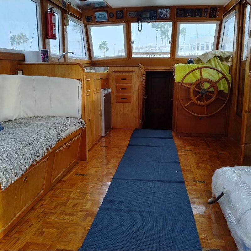 i15926746082262500357